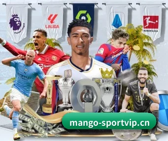 芒果体育sportvip APP